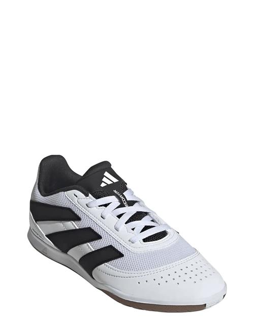 adidas Performance | Predator Club In Sala J | 35 1/3