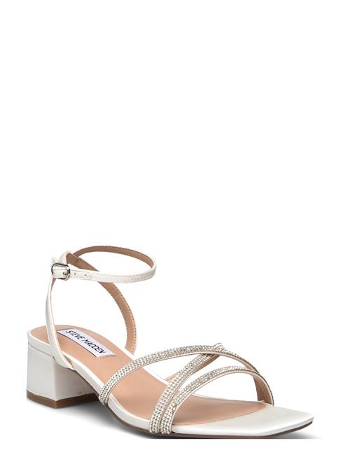 Steve Madden | Gabby | 42