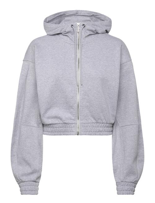 HUGO BLUE | Dolpie_B | L