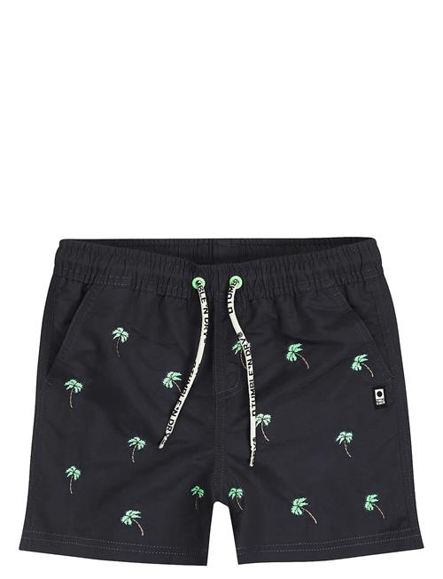 TUMBLE 'N DRY | Tnd Palmeira | 110