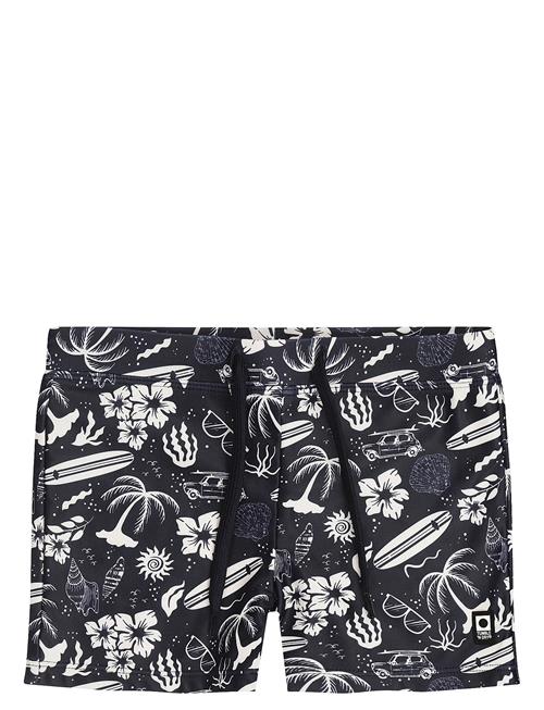 TUMBLE 'N DRY | Tnd Salvador | 146/1