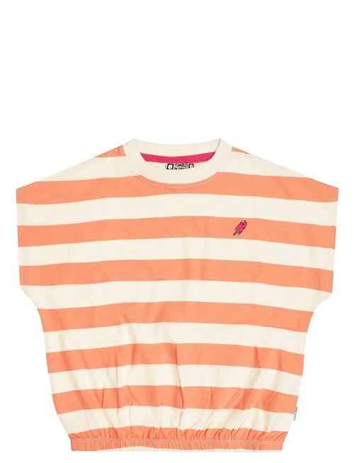 TUMBLE 'N DRY | Tnd Colatina | 122