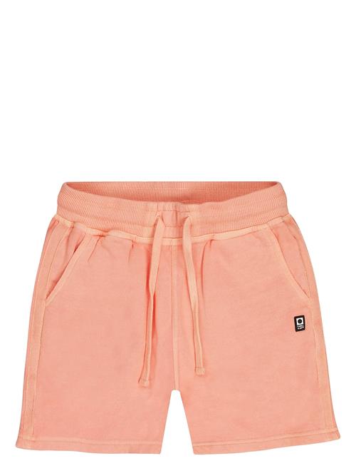 TUMBLE 'N DRY | Tnd Big Wave | 104