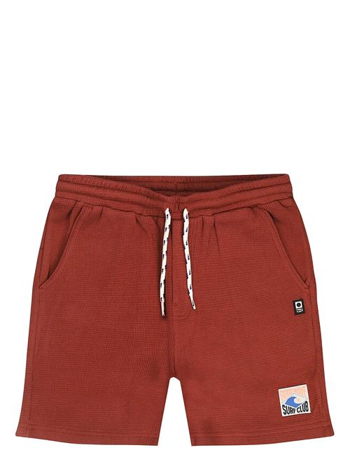 TUMBLE 'N DRY | Tnd Southport | 128