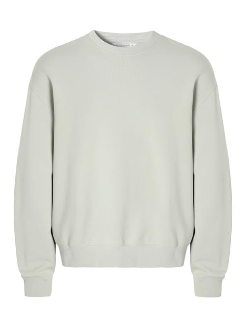 TATUUM Sweatshirt  oliven / pastelgrøn / lysegrøn