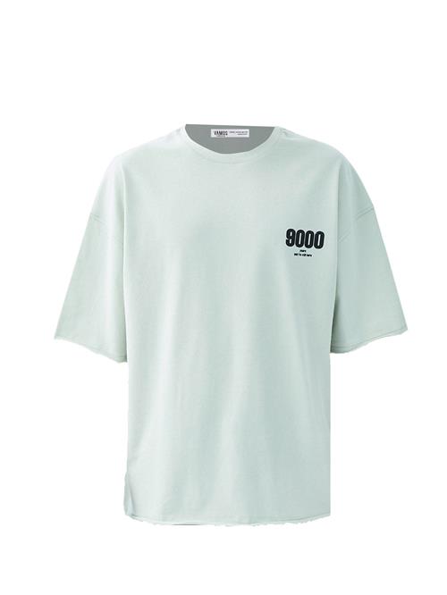 VAMOS CLO Bluser & t-shirts  mint