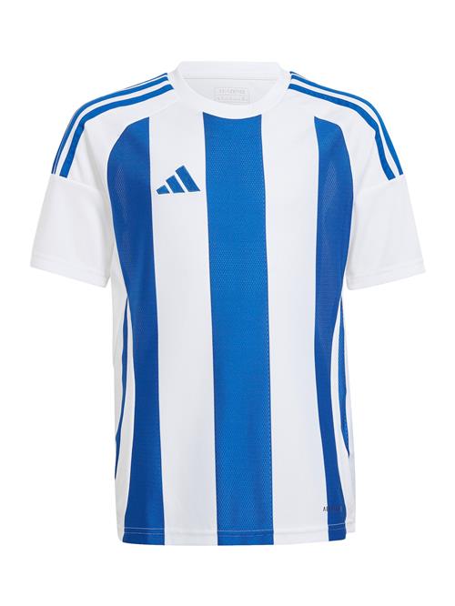 ADIDAS PERFORMANCE Funktionsskjorte  lyseblå / hvid