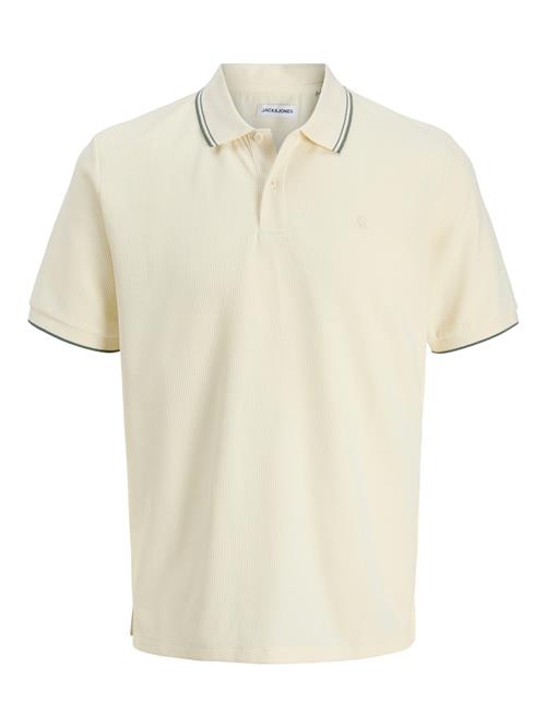 JACK & JONES Bluser & t-shirts 'JJEAustin'  gran / uldhvid
