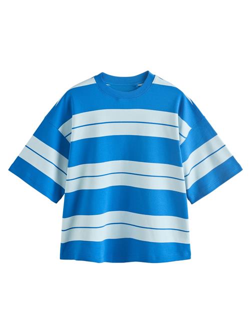 Next Shirts  royalblå / pastelblå
