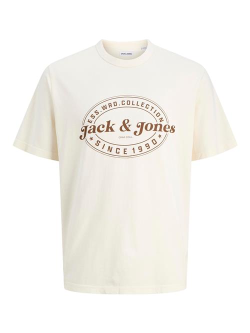 JACK & JONES Bluser & t-shirts 'JJEDover'  brun / hvid