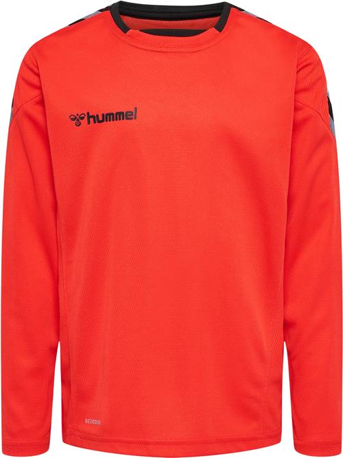Hummel Funktionsskjorte 'Authentic'  rød / sort