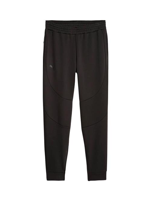 PUMA Sportsbukser 'Hoops Team Dime'  sort