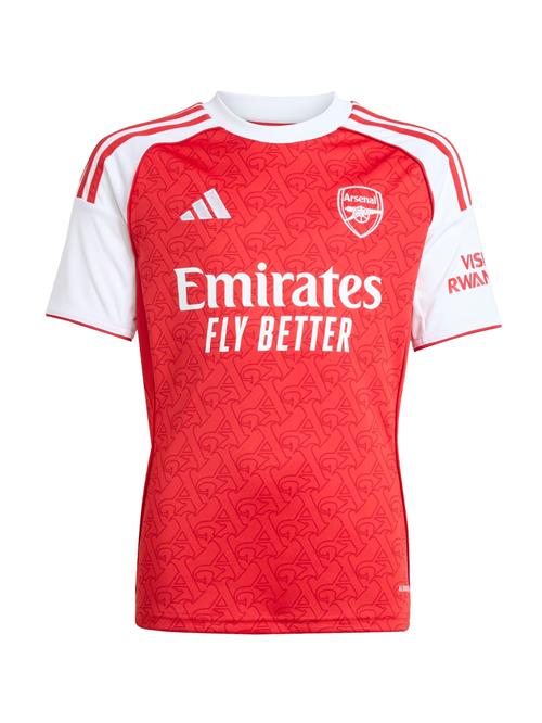 ADIDAS PERFORMANCE Funktionsskjorte 'Arsenal 25/26'  rød / hvid