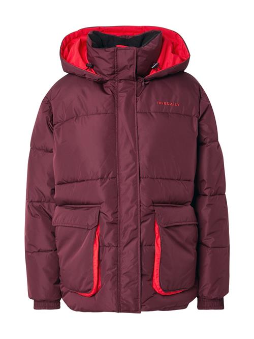 Iriedaily Vinterjakke  bordeaux / lys rød