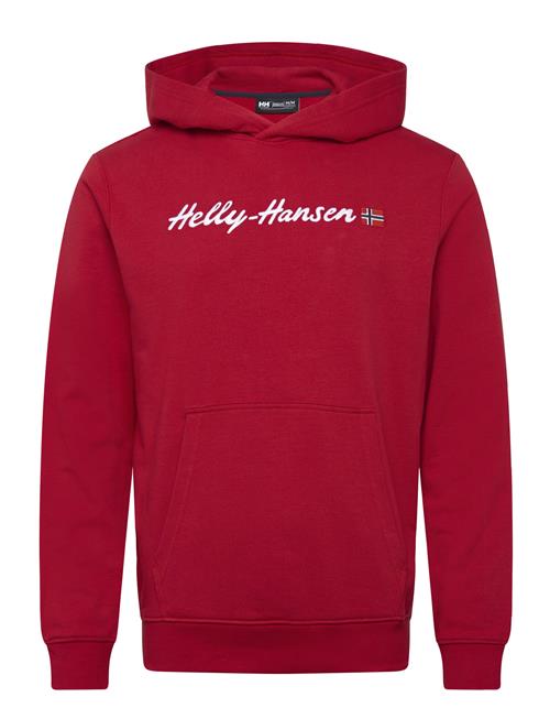 Helly Hansen | Core Graphic Sweat Hoodie | M