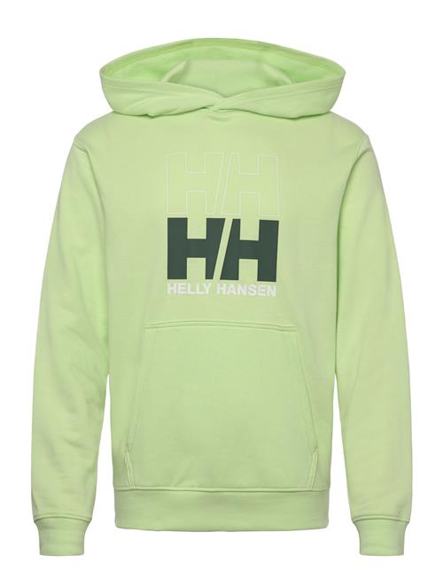 Helly Hansen | Core Graphic Sweat Hoodie | L