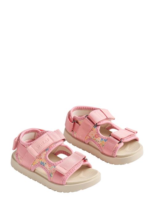 Wheat | Sandal Mandy | 30