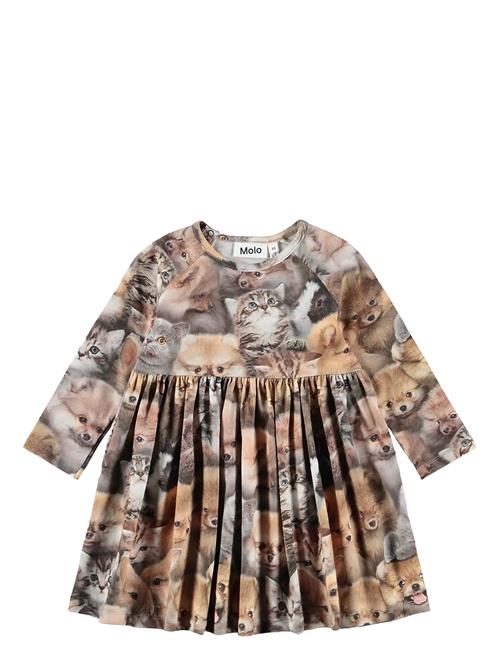 Molo | Charmaine | 86