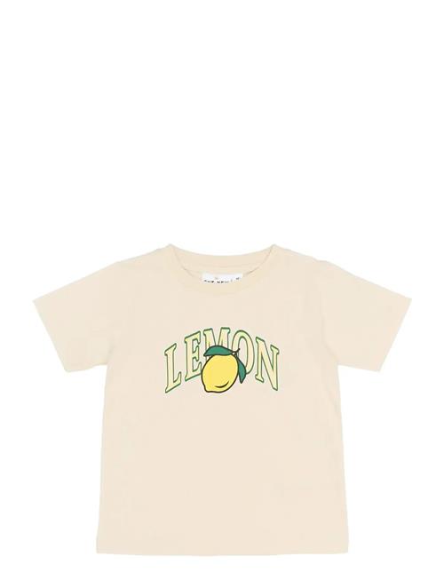 The New | Tnstshelly S_S Tee | 104