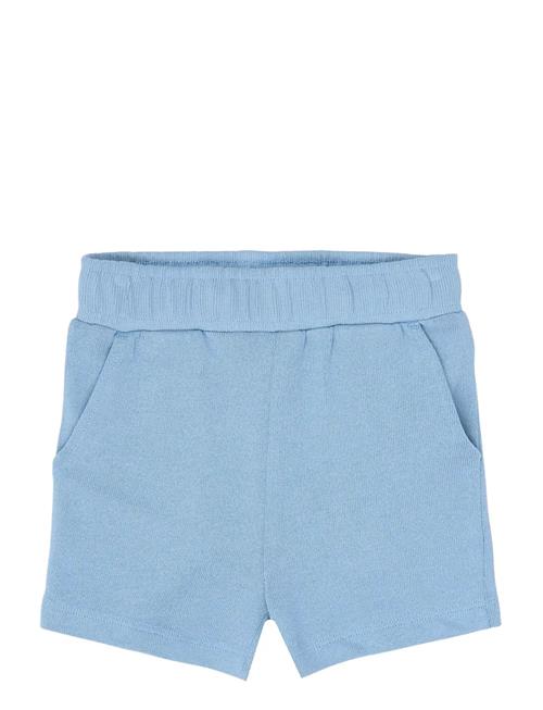 The New | Tnststeward Shorts | 110