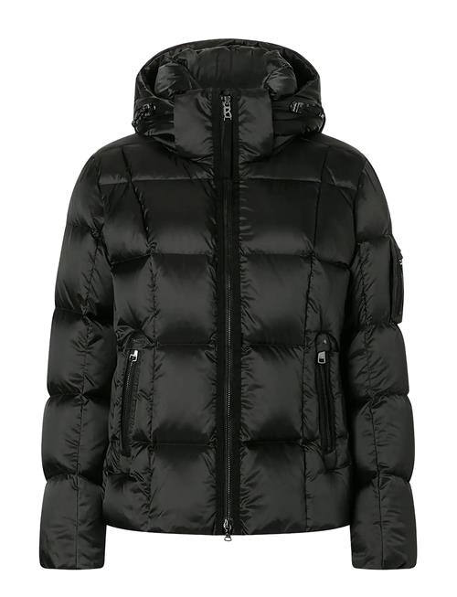 BOGNER | Feline | 40