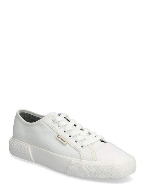 Calvin Klein | Vulc Low Lace Up Canvas | 41