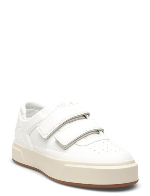 Calvin Klein | Basket Cups Velcro Lth | 38