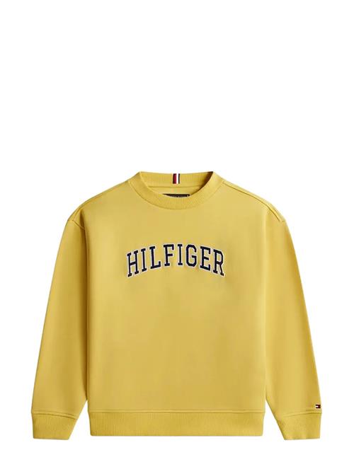 Tommy Hilfiger | Hilfiger Varsity Sweatshirt | 122