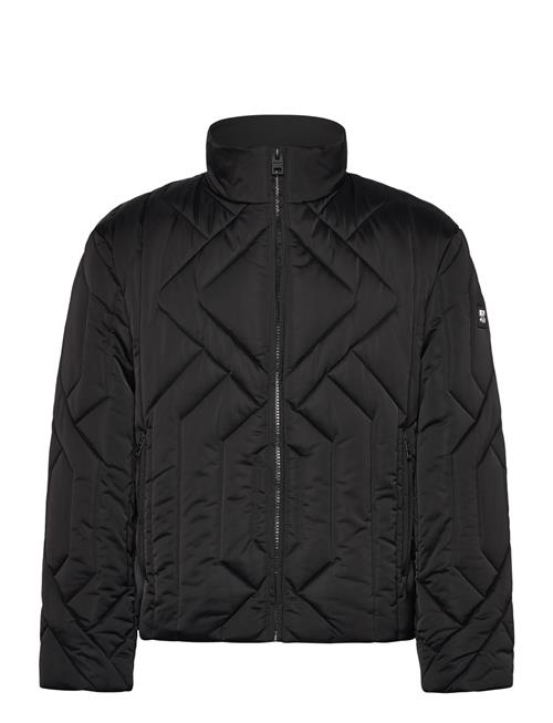 HUGO | Barino2541 | XS