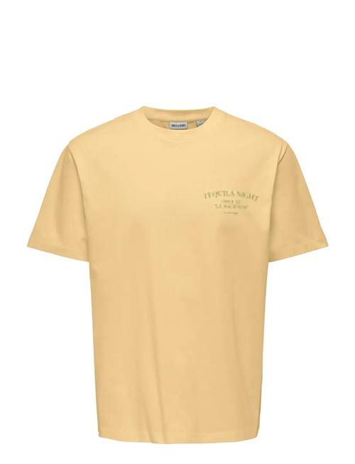 ONLY & SONS | Onsfred Life Rlx Ss Print Tee Noos | XL