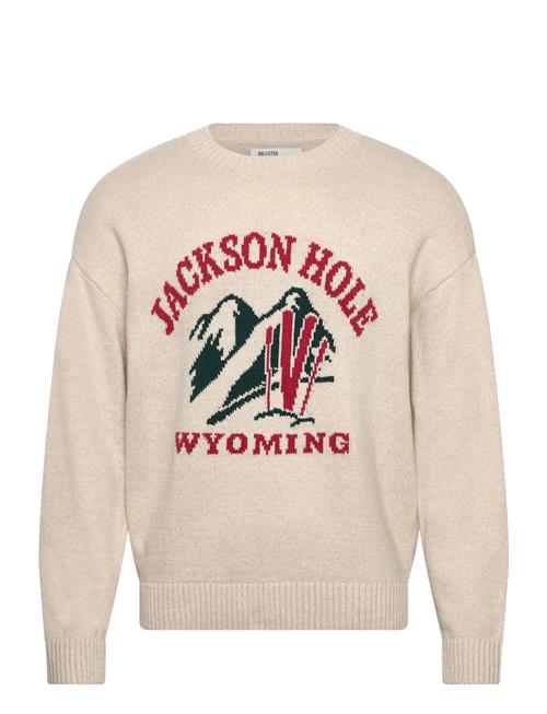 Hollister | Intarsia Jersey Crew | XL