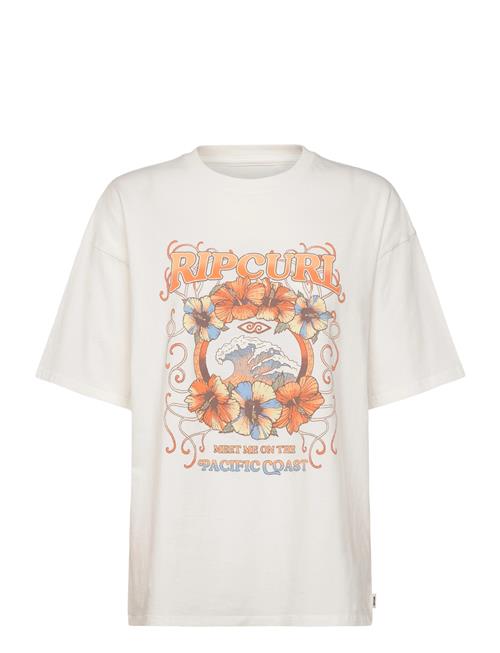 Rip Curl | Pacific Coast Heritage Tee | S