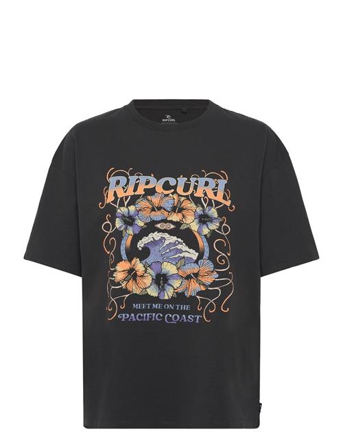 Rip Curl | Pacific Coast Heritage Tee | M