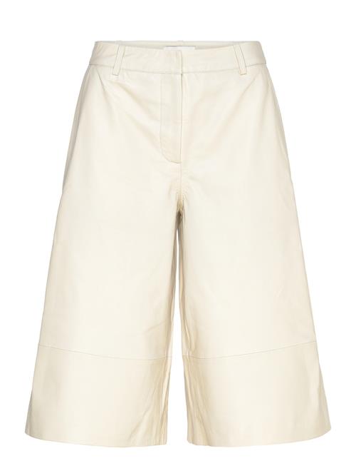 Copenhagen Muse | Cmroyal-Bermuda | XL