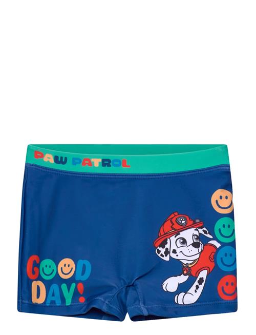 Paw Patrol | Swimwear | 104