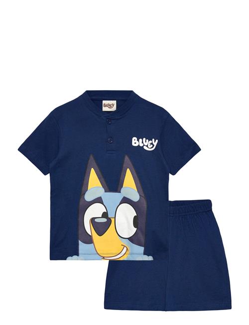 Bluey | Pyjama | 116