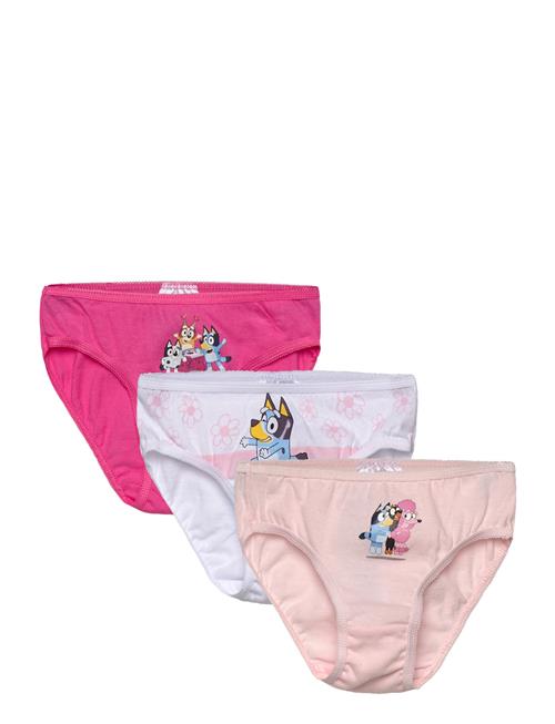 Bluey | Panties | 110/116