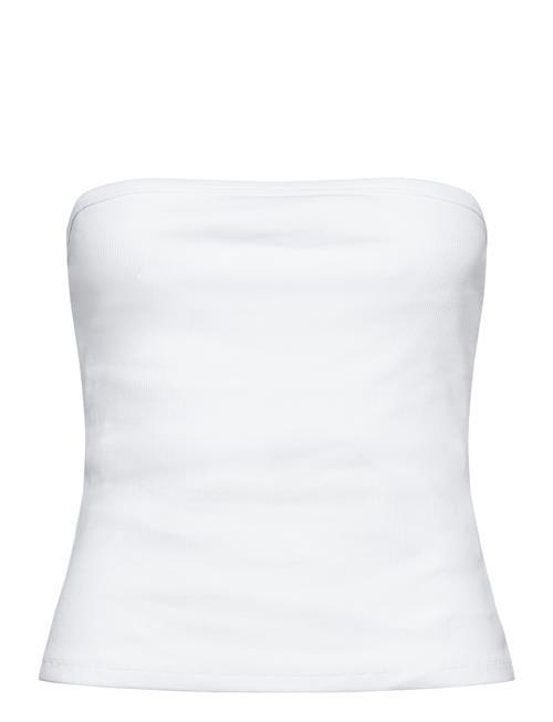 Twist & Tango | Rayla Tube Top | L