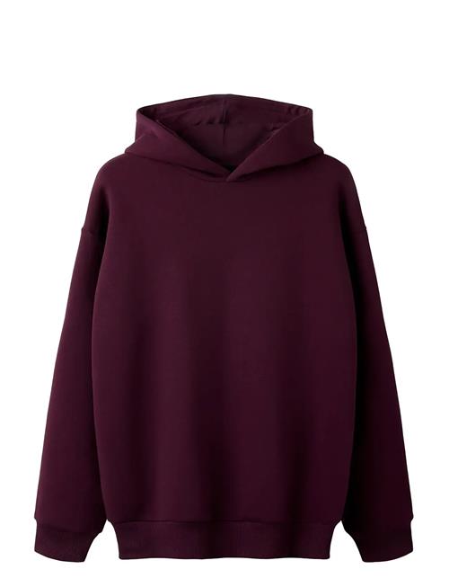 LMTD | Nlnrenar Ls Bru Loose Sweat W. Hood | 170-176