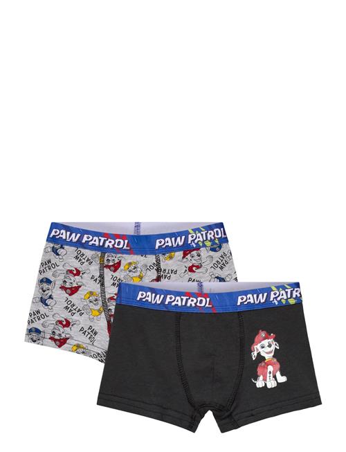 Paw Patrol | Boxer | 104/110