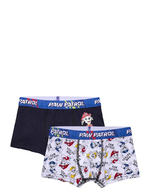 Paw Patrol | Boxer | 104/110