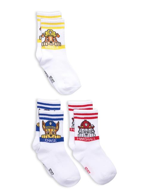 Paw Patrol | Socks | 23/26