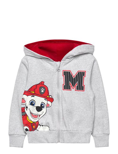 Paw Patrol | Sweats | 110