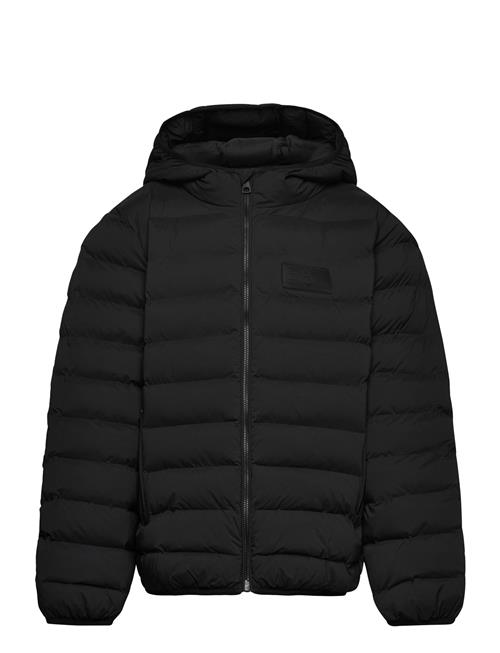 EA7 | Bomber Jacket | 116