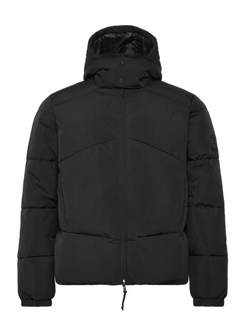 EA7 | Bomber Jacket | L