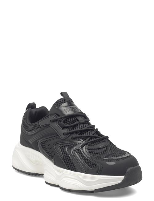 Exani | Brooke W | 37