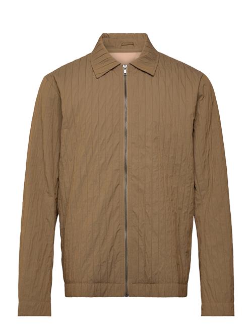 Rue de Tokyo | Claus Cotton Nylon | L