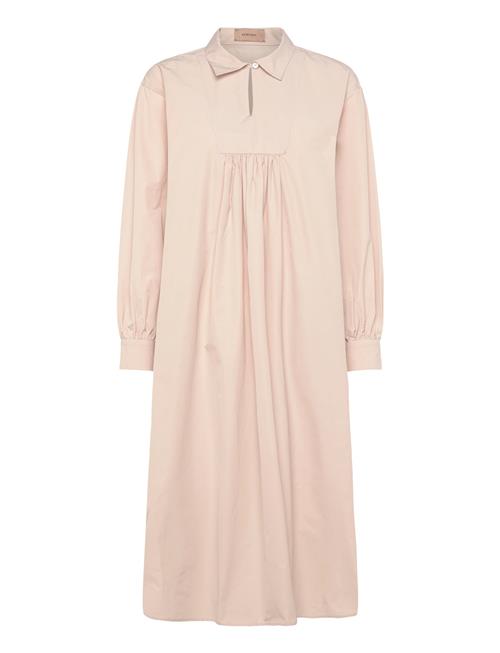 Rue de Tokyo | Drew Trench Cotton | S