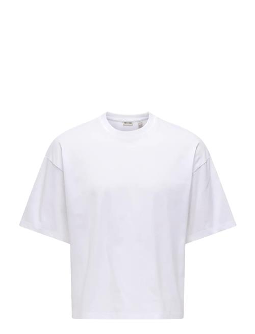 ONLY & SONS | Onsfred Rlx Ss Crop Tee | L
