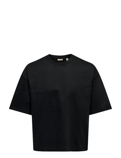 ONLY & SONS | Onsfred Rlx Ss Crop Tee | XS
